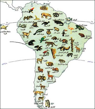 حيوانات أمريكا الجنوبية