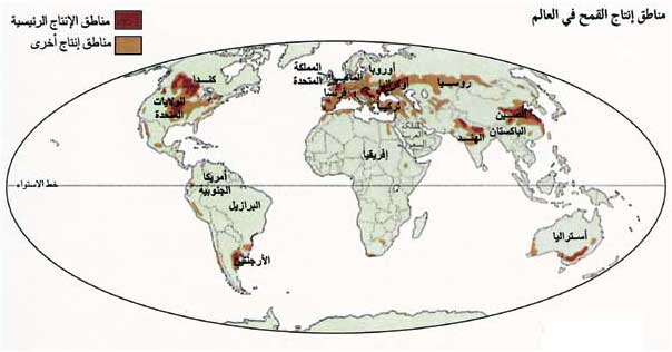 مناطق إنتاج القمح في العالم