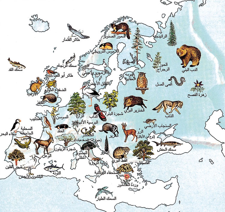 النباتات والحيوانات في أوروبا.