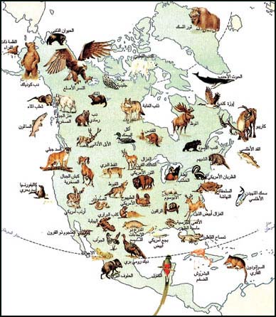  حيوانات أمريكا الشمالية