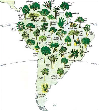 نباتات أمريكا الجنوبية