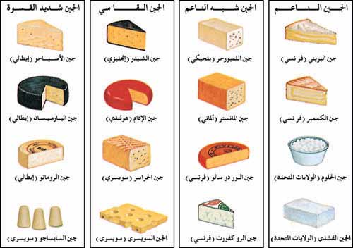 بعض أنواع الجبن