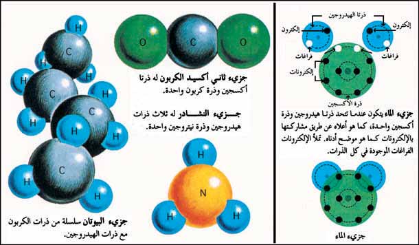 رسم تخطيطي لبعض الجزيئات الشائعة