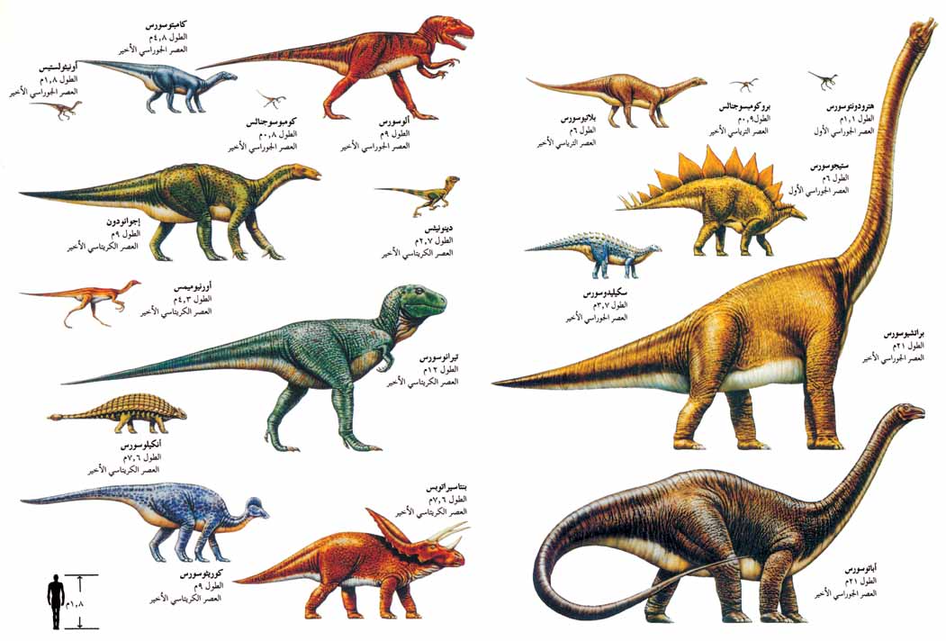 الأزمنة التي كانت تعيش فيها الديناصورات